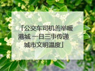 公交车司机善举暖港城 一日三事传递城市文明温度