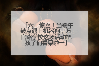 六一惊喜！当端午鼓点遇上机器狗，万官路学校这场活动把孩子们看呆啦→