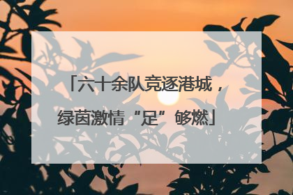 六十余队竞逐港城，绿茵激情“足”够燃