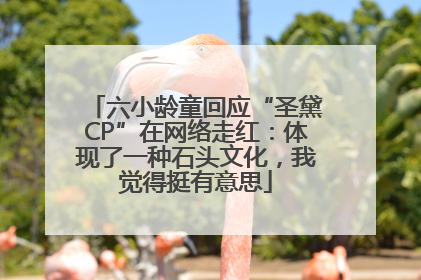 六小龄童回应“圣黛CP”在网络走红：体现了一种石头文化，我觉得挺有意思