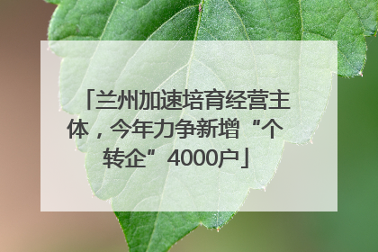 兰州加速培育经营主体，今年力争新增“个转企”4000户