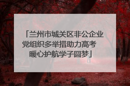 兰州市城关区非公企业党组织多举措助力高考 暖心护航学子圆梦