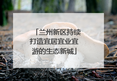 兰州新区持续打造宜居宜业宜游的生态新城