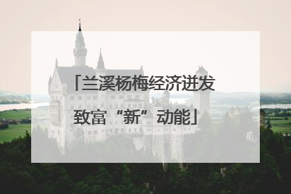 兰溪杨梅经济迸发致富“新”动能