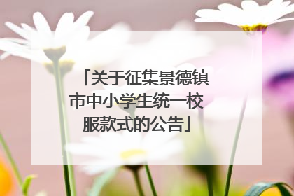 关于征集景德镇市中小学生统一校服款式的公告