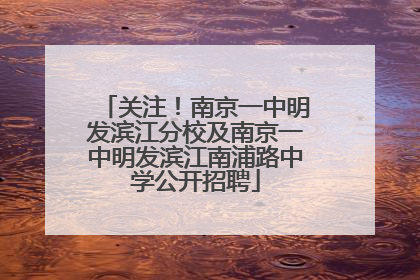 关注！南京一中明发滨江分校及南京一中明发滨江南浦路中学公开招聘