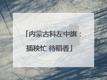内蒙古科左中旗：插秧忙 待稻香