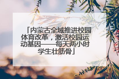 内蒙古全域推进校园体育改革，激活校园运动基因——每天两小时 学生壮筋骨
