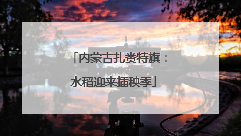 内蒙古扎赉特旗：水稻迎来插秧季