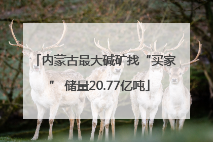 内蒙古最大碱矿找“买家” 储量20.77亿吨