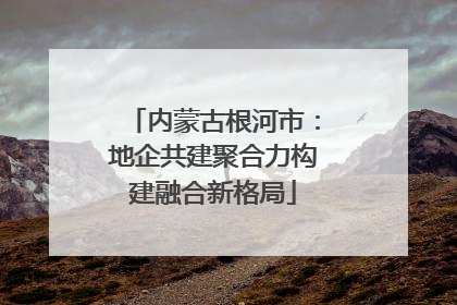 内蒙古根河市：地企共建聚合力构建融合新格局