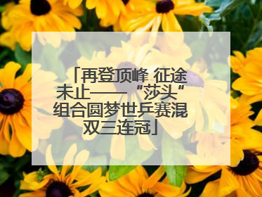 再登顶峰 征途未止——“莎头”组合圆梦世乒赛混双三连冠