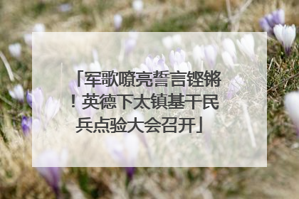 军歌嘹亮誓言铿锵！英德下太镇基干民兵点验大会召开