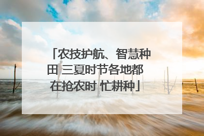 农技护航、智慧种田 三夏时节各地都在抢农时 忙耕种