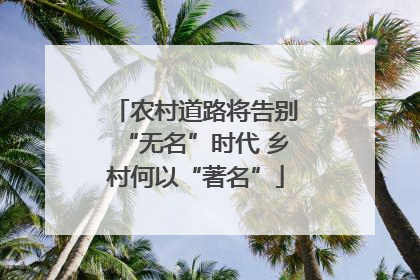 农村道路将告别“无名”时代 乡村何以“著名”