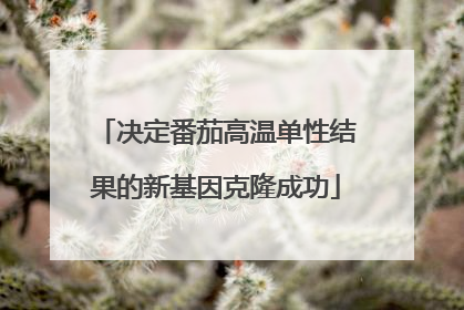 决定番茄高温单性结果的新基因克隆成功