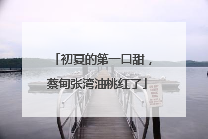 初夏的第一口甜，蔡甸张湾油桃红了