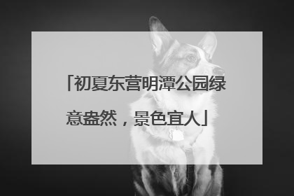 初夏东营明潭公园绿意盎然，景色宜人