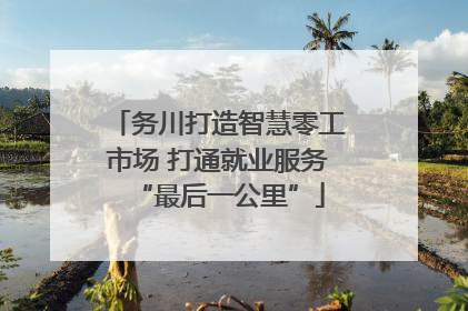 务川打造智慧零工市场 打通就业服务“最后一公里”