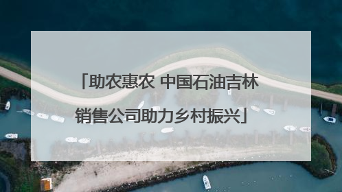 助农惠农 中国石油吉林销售公司助力乡村振兴
