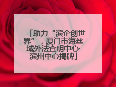 助力“滨企创世界”，厦门市海丝域外法查明中心·滨州中心揭牌