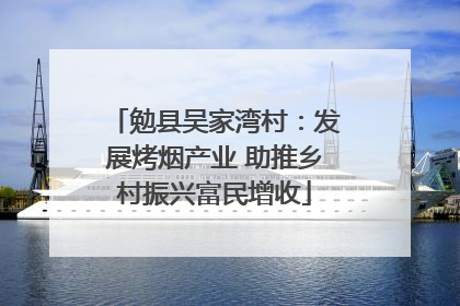 勉县吴家湾村：发展烤烟产业 助推乡村振兴富民增收