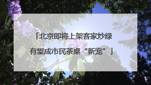北京即将上架客家炒绿 有望成市民茶桌“新宠”