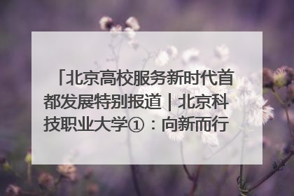 北京高校服务新时代首都发展特别报道｜北京科技职业大学①：向新而行，为首都低空经济发展提供“即战力”