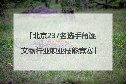 北京237名选手角逐文物行业职业技能竞赛