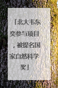 北大韦东奕参与项目，被提名国家自然科学奖