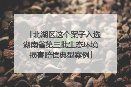 北湖区这个案子入选湖南省第三批生态环境损害赔偿典型案例