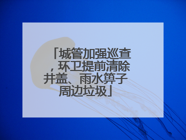 城管加强巡查，环卫提前清除井盖、雨水箅子周边垃圾