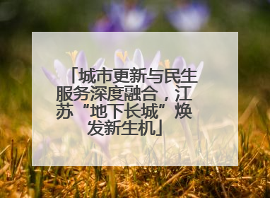 城市更新与民生服务深度融合，江苏“地下长城”焕发新生机