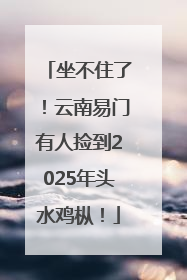 坐不住了！云南易门有人捡到2025年头水鸡枞！