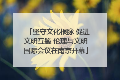 坚守文化根脉 促进文明互鉴 伦理与文明国际会议在南京开幕