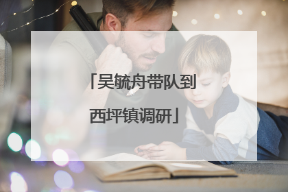 吴毓舟带队到西坪镇调研