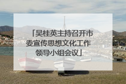 吴桂英主持召开市委宣传思想文化工作领导小组会议