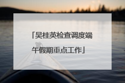 吴桂英检查调度端午假期重点工作