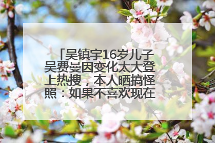 吴镇宇16岁儿子吴费曼因变化太大登上热搜，本人晒搞怪照：如果不喜欢现在的我可以离开