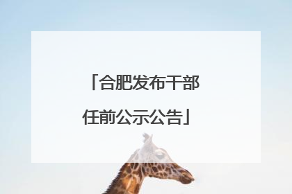 合肥发布干部任前公示公告