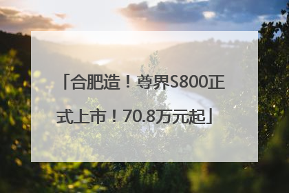 合肥造！尊界S800正式上市！70.8万元起
