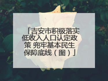 吉安市积极落实低收入人口认定政策 兜牢基本民生保障底线（图）