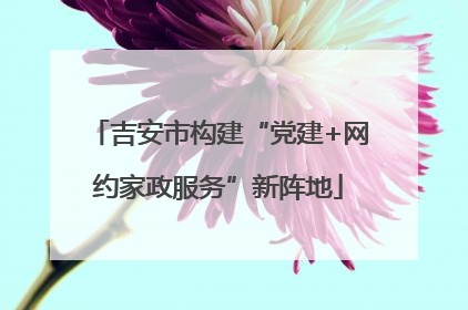 吉安市构建“党建+网约家政服务”新阵地