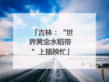 吉林：“世界黄金水稻带”上插秧忙