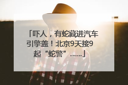 吓人，有蛇藏进汽车引擎盖！北京9天接9起“蛇警”……