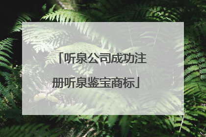 听泉公司成功注册听泉鉴宝商标