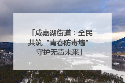 咸嘉湖街道：全民共筑“青春防毒墙” 守护无毒未来
