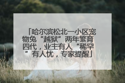 哈尔滨松北一小区宠物兔“越狱”两年繁育四代，业主有人“稀罕”有人忧，专家提醒