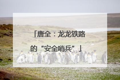 唐全：龙龙铁路的“安全哨兵”