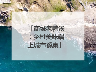 商城老鸭汤：乡村美味端上城市餐桌